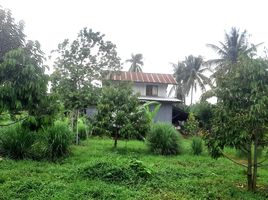  Land for sale in Phetchabun, Bung Namtao, Lom Sak, Phetchabun