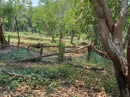  Land for sale in Na Mueang, Koh Samui, Na Mueang