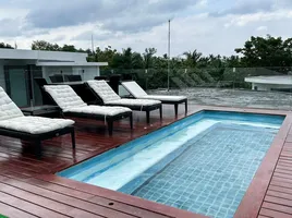 3 Schlafzimmer Wohnung zu verkaufen im Absolute Twin Sands III, Patong