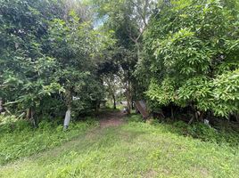  Land for sale in Phu Po, Mueang Kalasin, Phu Po