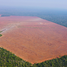  Land for sale in Mato Grosso, Nova Maringa, Nova Maringa, Mato Grosso