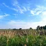  Land for sale in Phaya Yen, Nakhon Ratchasima, Phaya Yen, Pak Chong, Nakhon Ratchasima