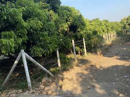  Land for sale in Pa Sang, Lamphun, Tha Tum, Pa Sang