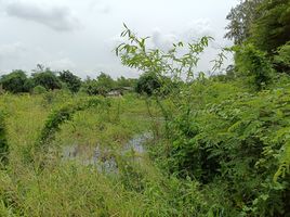  Grundstück zu verkaufen in Khlong Luang, Pathum Thani, Khlong Hok, Khlong Luang