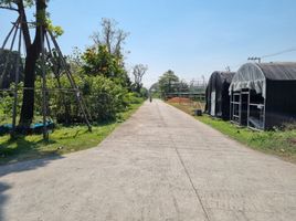  Grundstück zu verkaufen in Khlong Sam Wa, Bangkok, Sam Wa Tawan Tok