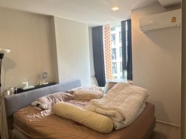 1 Schlafzimmer Wohnung zu verkaufen im Quintara Treehaus Sukhumvit 42, Phra Khanong, Khlong Toei