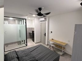 Studio Penthouse for rent at Central Grove, Aljunied