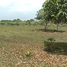  Land for sale in The 3 Eyes National Park, Santo Domingo Este, Distrito Nacional
