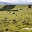  Grundstück zu verkaufen in Sumba Timur, East Nusa Tenggara, Paberiwai, Sumba Timur, East Nusa Tenggara, Indonesien