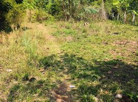  Land for sale in Nakhon Phanom, Ban Kho, Phon Sawan, Nakhon Phanom