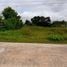  Land for sale in Non Thai Nakhon Ratchasima, Non Thai, Non Thai, Nakhon Ratchasima