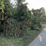  Land for sale in Chiang Mai, Ban Klang, San Pa Tong, Chiang Mai