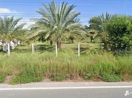  Land for sale in Nong Ya Sai, Suphan Buri, Nong Ya Sai, Nong Ya Sai