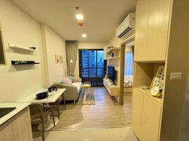 1 Schlafzimmer Wohnung zu vermieten im NIA By Sansiri, Phra Khanong Nuea