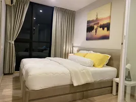 1 Schlafzimmer Appartement zu vermieten im The Base Height, Talat Yai, Phuket Town, Phuket