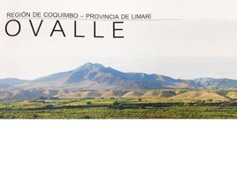  Grundstück zu verkaufen in Limari, Coquimbo, Ovalle