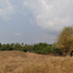  Land for sale in Surasak, Si Racha, Surasak