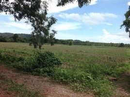  Land for sale in Kong Din, Klaeng, Kong Din