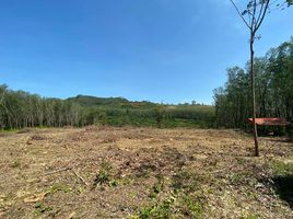  Land for sale in Pa Khlok, Thalang, Pa Khlok