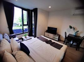 1 Schlafzimmer Wohnung zu vermieten im THE BASE Central Phuket, Wichit, Phuket Town