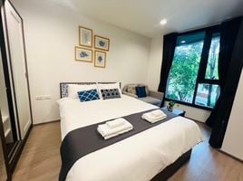 Studio Wohnung zu vermieten im THE BASE Central Phuket, Wichit