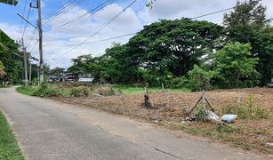 N/A Land for sale in Pa Daet, Chiang Mai 