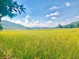  Land for sale in Lamphun, Si Bua Ban, Mueang Lamphun, Lamphun