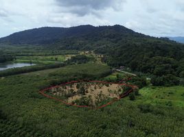  Grundstück zu verkaufen in Thalang, Phuket, Thep Krasattri