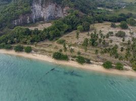  Grundstück zu verkaufen in Koh Samui, Surat Thani, Taling Ngam