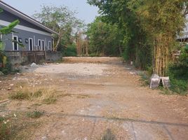  Land for sale in Chiang Mai, San Pu Loei, Doi Saket, Chiang Mai