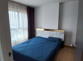 1 Bedroom Condo for rent at Thana Astoria, Bang Yi Khan, Bang Phlat