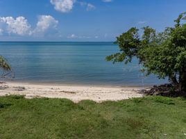  Grundstück zu verkaufen in Koh Samui, Surat Thani, Lipa Noi