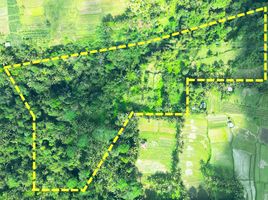  Land for sale in Tabanan, Bali, Baturiti, Tabanan