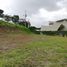  Land for sale in Alajuela, Naranjo, Alajuela