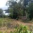  Land for sale in Nong Phrong, Si Maha Phot, Nong Phrong