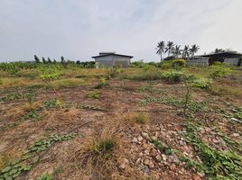  Grundstück zu verkaufen in Bang Len, Nakhon Pathom, Nin Phet, Bang Len