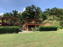 2 Schlafzimmer Haus zu verkaufen in Aguirre, Puntarenas, Aguirre