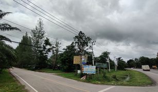 N/A Land for sale in Wisai Tai, Chumphon 