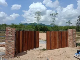  Grundstück zu verkaufen in Thai Mueang, Phangnga, Bang Thong, Thai Mueang