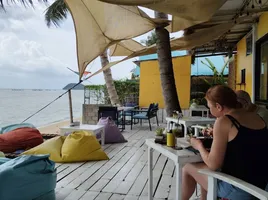  Land for sale in Koh Samui, Surat Thani, Ang Thong, Koh Samui