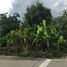  Land for sale in Samut Songkhram, Ban Prok, Mueang Samut Songkhram, Samut Songkhram