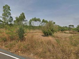  Land for sale in Prachin Buri, Wang Takhian, Kabin Buri, Prachin Buri