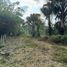  Land for sale in Laguna, Choeng Thale, Choeng Thale