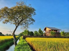 3 Schlafzimmer Haus zu vermieten in Mae Taeng, Chiang Mai, Sop Poeng, Mae Taeng