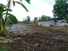  Grundstück zu verkaufen in Kamphaeng Saen, Nakhon Pathom, Thung Luk Nok, Kamphaeng Saen