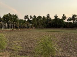 ขายที่ดิน ใน เมืองเพชรบูรณ์ เพชรบูรณ์, สะเดียง