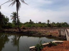  Grundstück zu verkaufen in Ban Phaeo, Samut Sakhon, Khlong Tan, Ban Phaeo