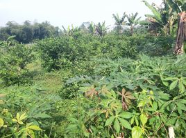  Land for sale in Sukabumi, West Jawa, Cibadak, Sukabumi