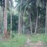  Land for sale in Bang Po Beach, Maenam, Maenam