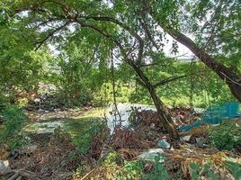  Grundstück zu verkaufen in Mueang Samut Sakhon, Samut Sakhon, Na Di